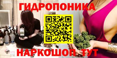прущая мука Кимры