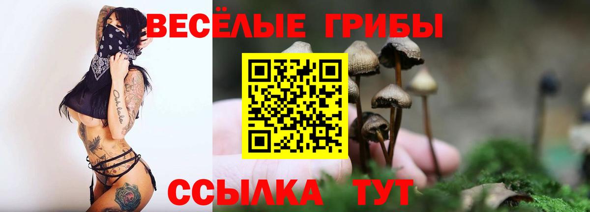 Псилоцибиновые грибы GOLDEN TEACHER  Вход с VPN  Волхов 